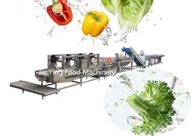 Línea de transformación congelada quingombó vegetal congelada máquina del fabricante de la ensalada 1000KG/H