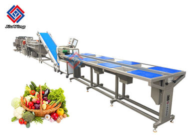 La cadena de producción vegetal congelada material de los SS del SUS 304 para la comida distribuye el centro