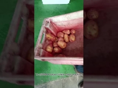 JIUYING Máquina de corte de papas fritas de alto rendimiento para alimentos y papas