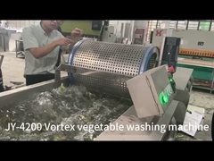 Máquina de limpieza de burbujas de ozono para procesamiento de ensaladas de frutas y verduras