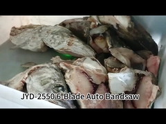 Máquina de sierra de cinta vertical automática de 6 cuchillas para cortar pescado congelado con control de pantalla táctil