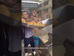 12 Estaciones de corte Centrífugas Chips de patata máquina de corte de rodajas con excelentes resultados