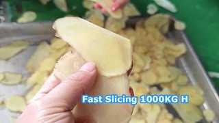 Máquina cortadora centrífuga 1000KG/H