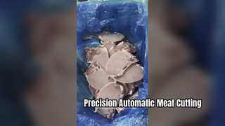 Sierra de cinta automática para carne de un solo corte JYX-420 con ángulo de corte de 0 a 45 grados