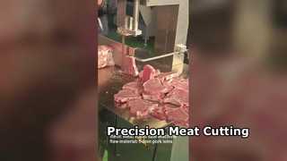 Sierra de cinta de carnicero JY310 Corte de carne de precisión